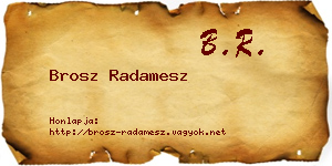 Brosz Radamesz névjegykártya